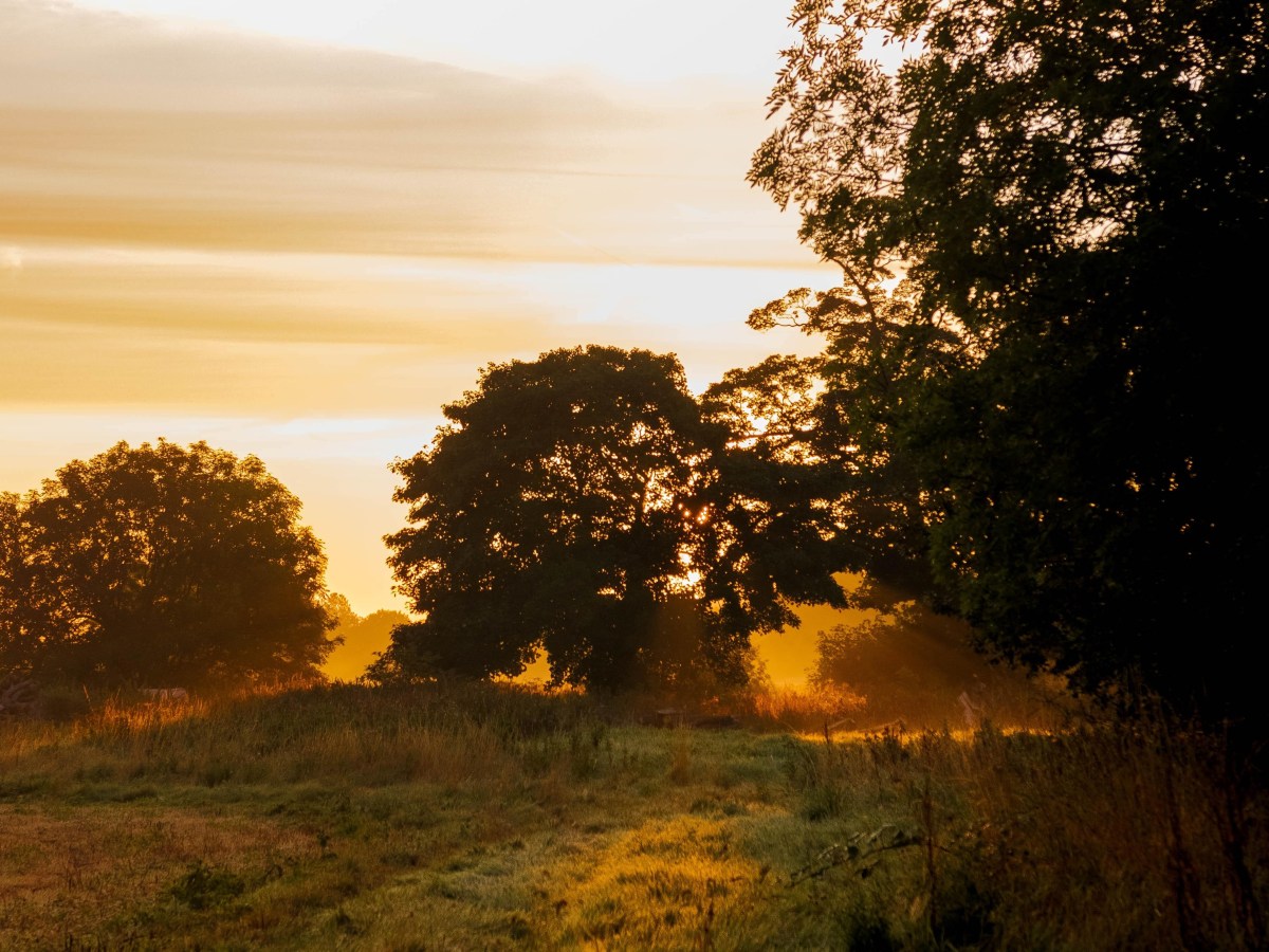 OUR STEPS TO GET NEW LAND&nbsp;STARTED