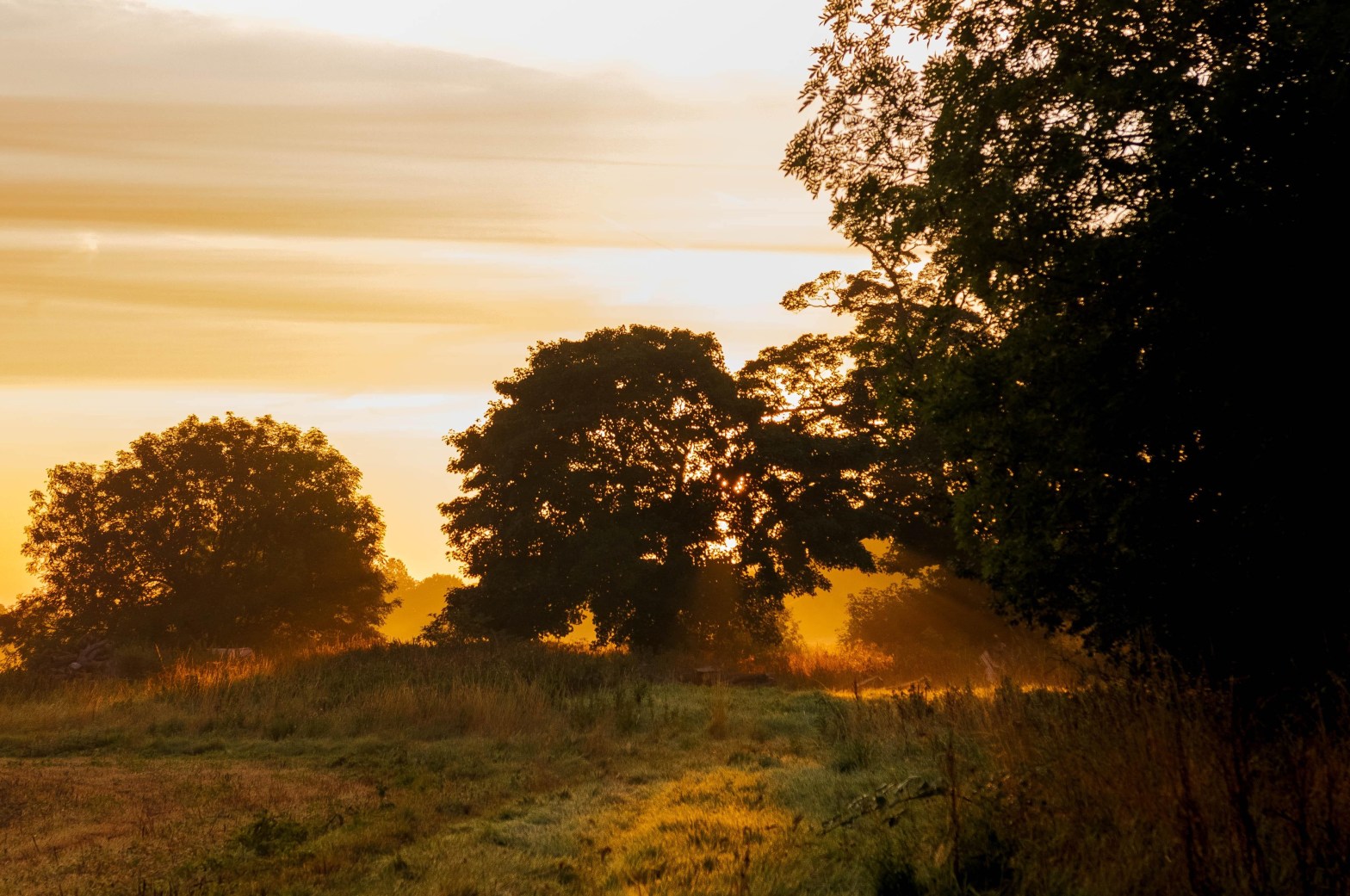 rural permaculture architecture