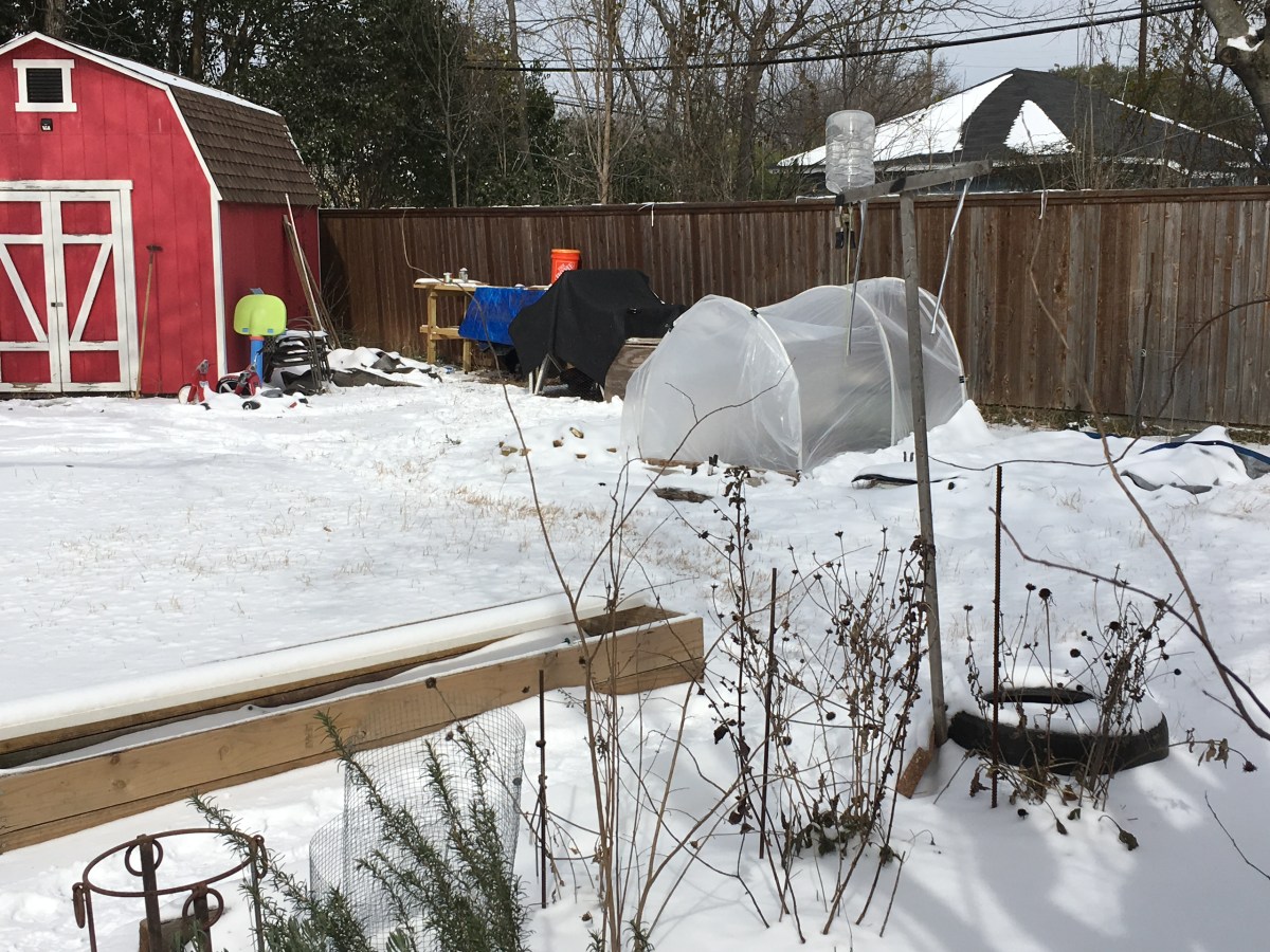 Record Winter Temps in&nbsp;Texas